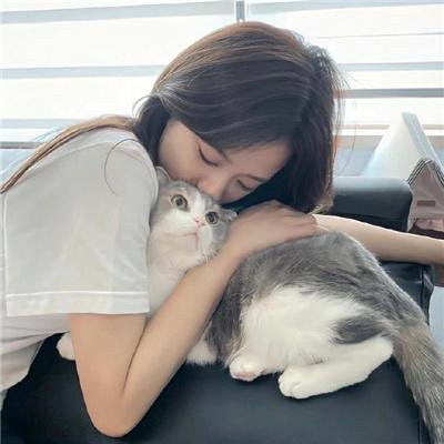 村里有情况 封面