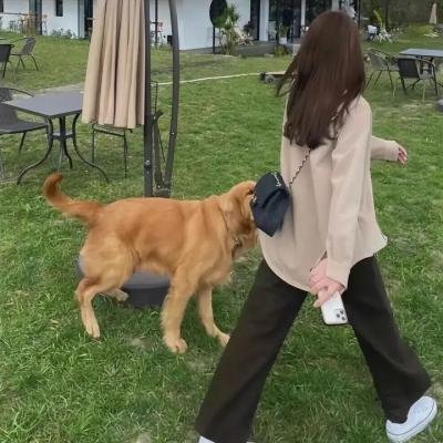 我妻子的一切 封面